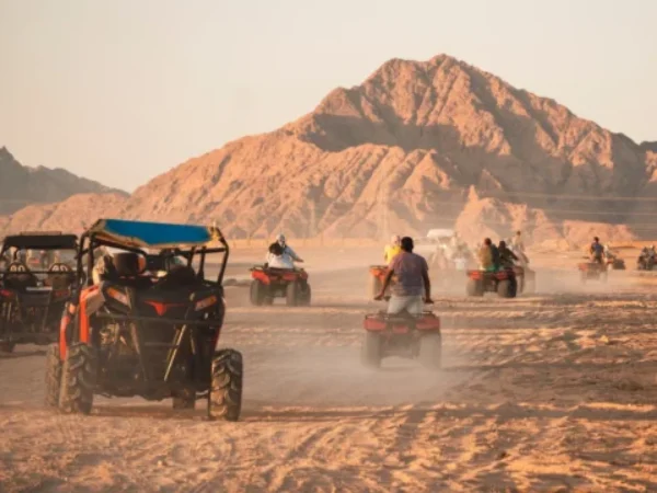 Private Family buggy safari