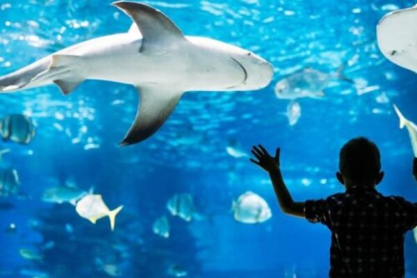 Hurghada – Red Sea – Egypt