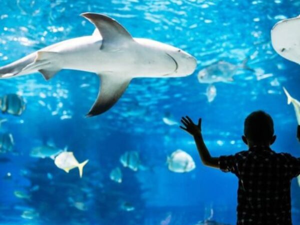 Hurghada – Red Sea – Egypt