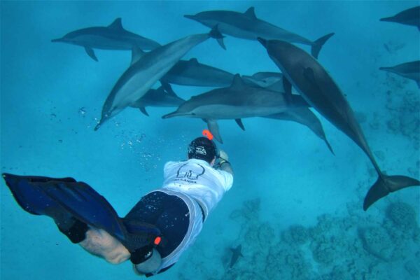 Dolphin House trip