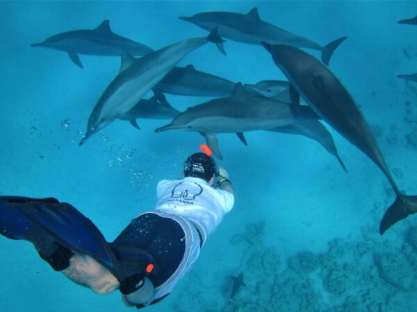 Dolphin House trip