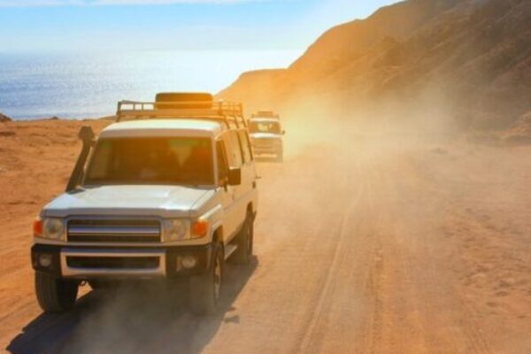 Private Sunset Safari