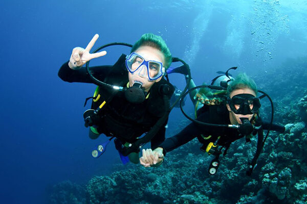 Orange Bay Island & diving