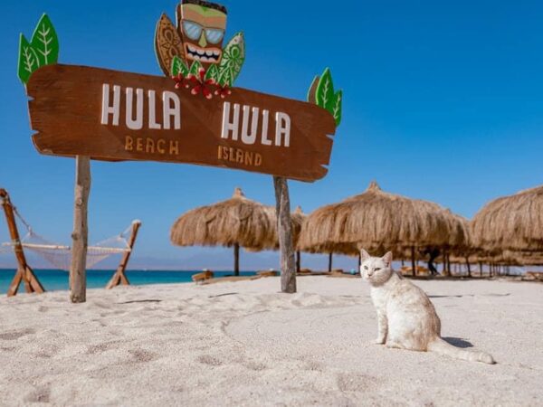 Hula Hula Island Normal