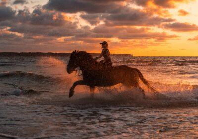 Horse riding with beach & Swimming