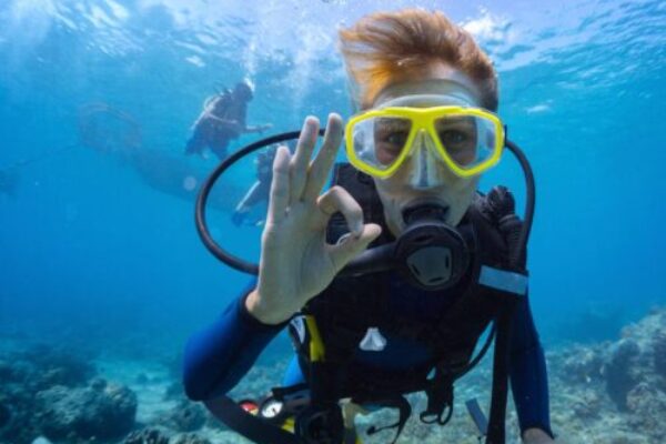 Intro Diving & Snorkeling Tour with Lunch & Drinks