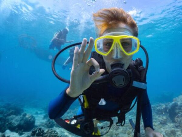 Intro Diving & Snorkeling Tour with Lunch & Drinks