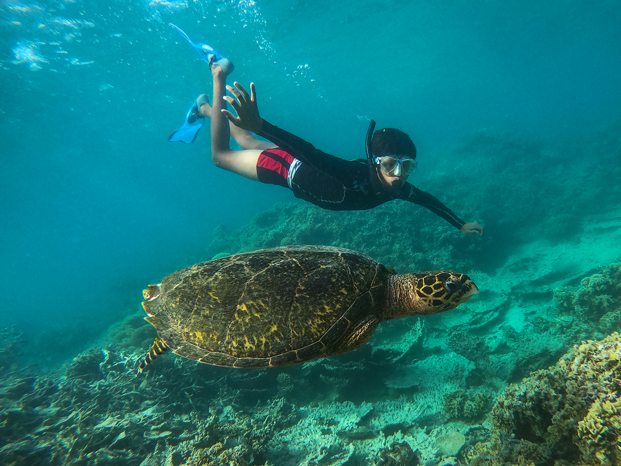 DCIM100GOPROGOPR1767.JPG